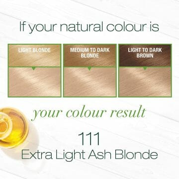 Garnier Nutrisse Nourishing Hair Color Creme, 111 Extra